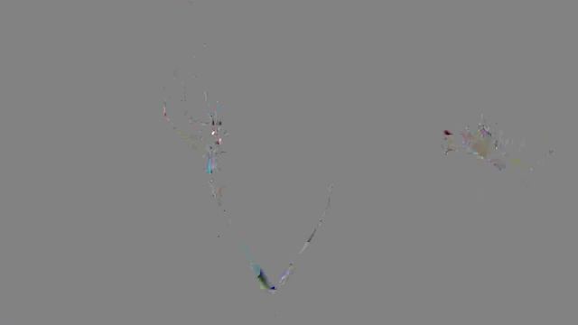 Влад и Никита Коллекция видео с животными