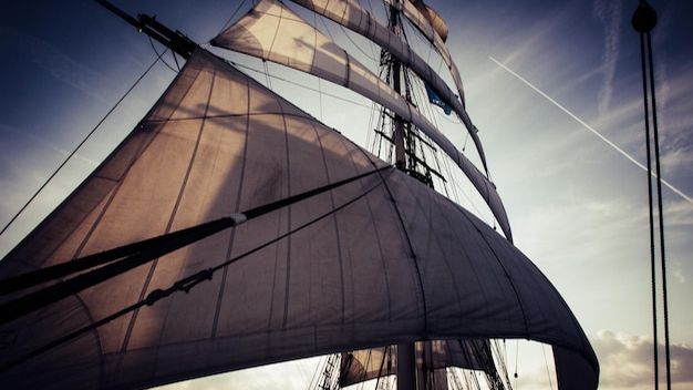 ПРЕДНАЗНАЧЕНИЕ