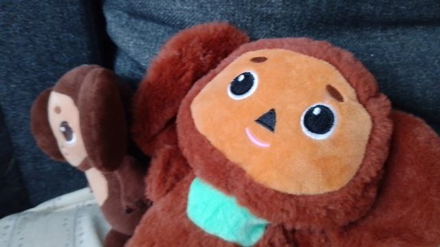 развлекательный комплекс Зверятыши 0семья#06(серый)