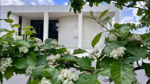 Баллада о Зое 2026. Памяти Героя Советского Союза Зои Космодемьянской