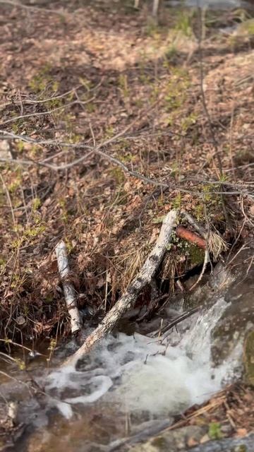 Тургояк Что интересно там !