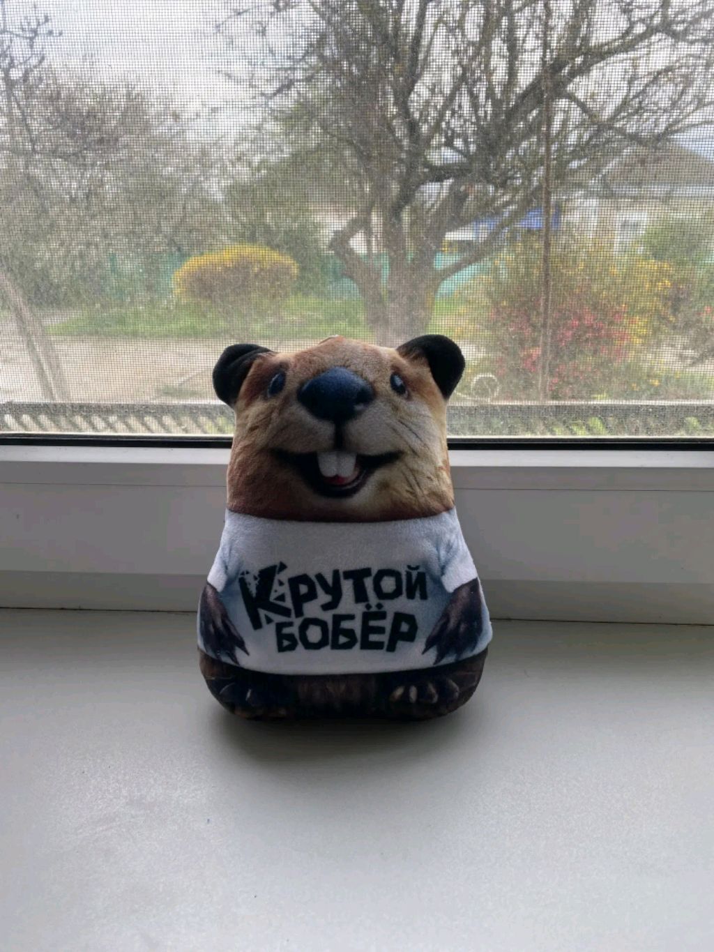 первый стрим