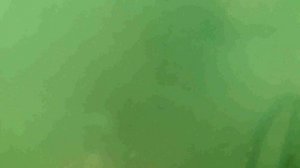 ззззолоотая цепьь ПОИСК ЗОЛОТА НА ПЛЯЖЕ