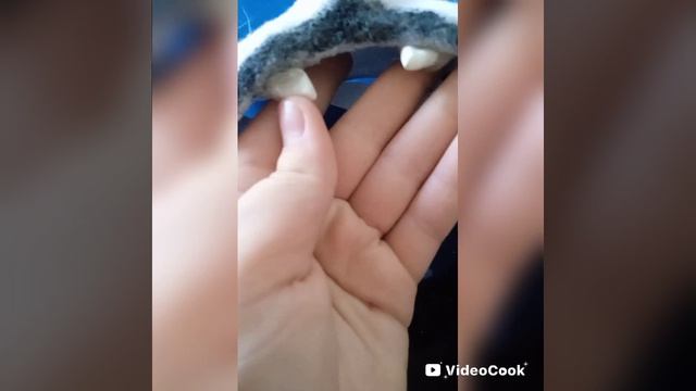 VideoCook_20260420_171559443.mp4