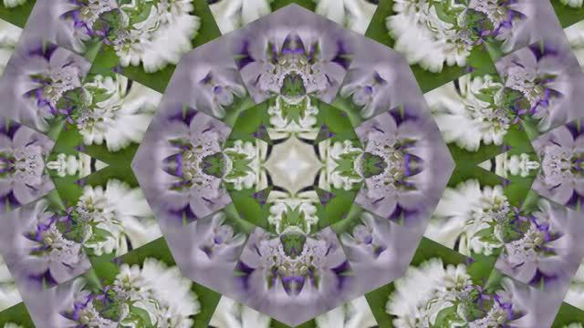 Футажи!!! Видеофоны!!! Футаж Сиреневая Феерия 3 от Киностудии Мудрого Кота Тимофея!!!