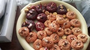 ОСТАЛАСЬ ОДНА ДОМА  /  "ЯЙЦО ВЕЛИКАН" 🐣🥚/ ДЕРЕВЕНСКОЕ ОТОПЛЕНИЕ - ПЕЧКА / ГЛАДИОЛУСЫ /