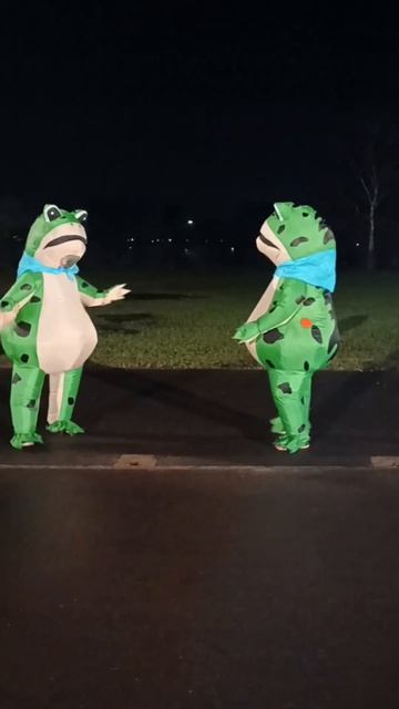 лягушки дурачатся