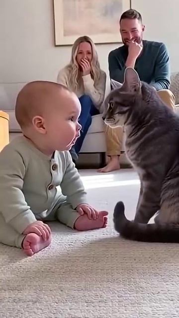 Разговор с Котом