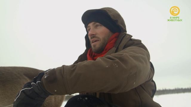 Недомашние питомцы. Анонс. Канал В Мире Животных