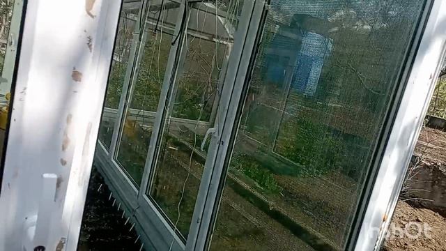 Прогнозы на лето.У меня новая клумба.