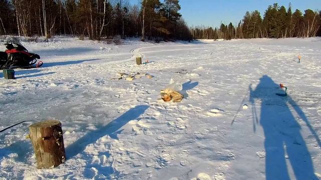 Рыбалка на щуку  с ночевкой 17-18.04.2026