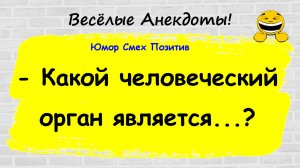 Анекдоты смешные до слез! Пикантные, Смешные, Остренькие, Жизненные Анекдоты! Юмор! Смех! Позитив!