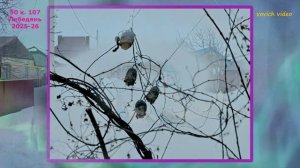 107)50 КАДРОВ.Лебедянь 2025-26.vovich video