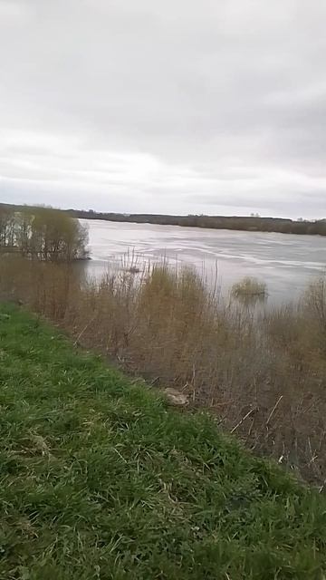 VID_20260419_122951.mp4