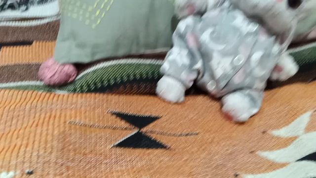 топ типичные школьники