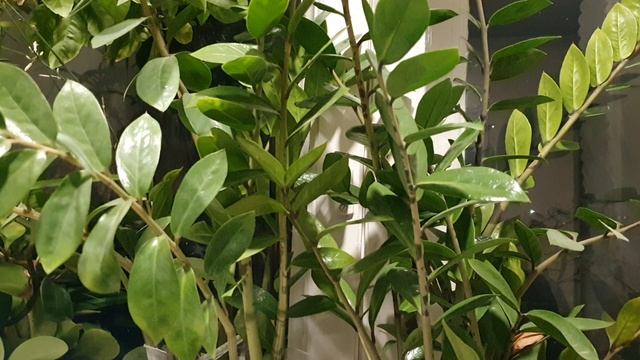 Если грусть на душе...