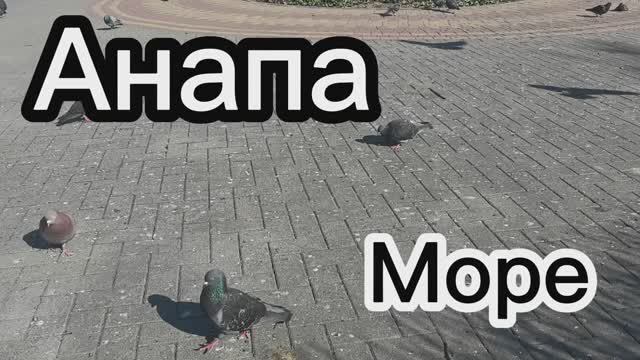 Увидела это видео, испугалась. И побежала на прогулку.