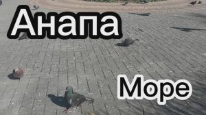 Увидела это видео, испугалась. И побежала на прогулку.