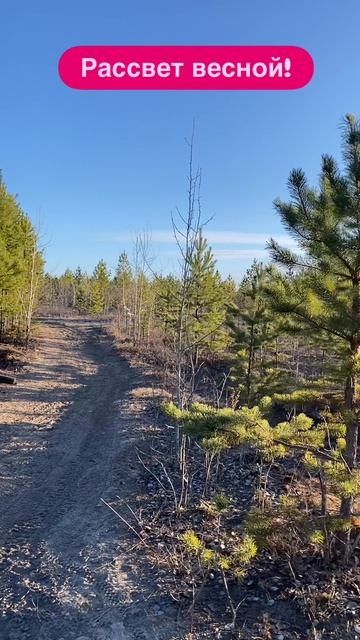 Действуй в гармонии с миром!