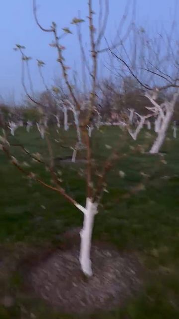 прекрасный вечер