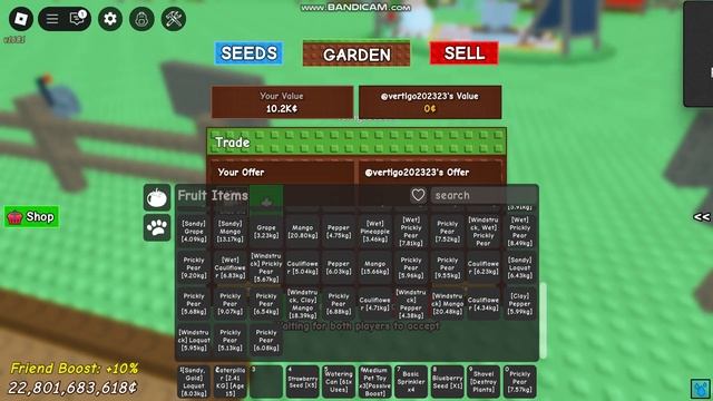 играем в вырасти сад