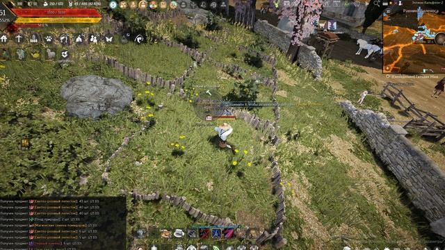 Black Desert огороды в 2026, что лучше всего сажать у Велии.