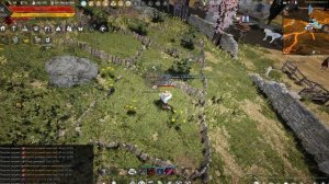 Black Desert огороды в 2026, что лучше всего сажать у Велии.