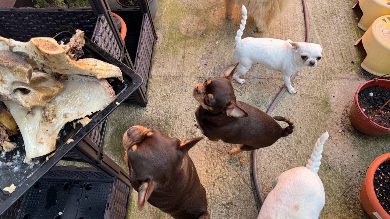 Сегодня косточки грызем на улице, даже не ругаемся.