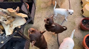 Сегодня косточки грызем на улице, даже не ругаемся.