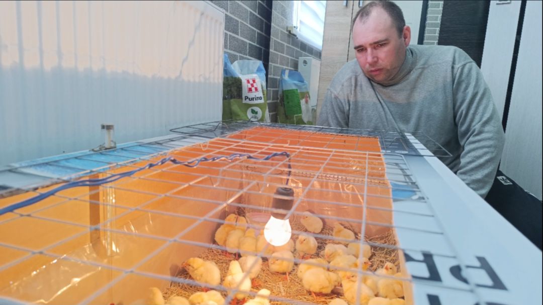 СЛОМАЛИ НАВЕС/ГОТОВИМ МЕСТО ДЛЯ МАЛИНЫ/УБРАЛИ ИНКУБАТОР