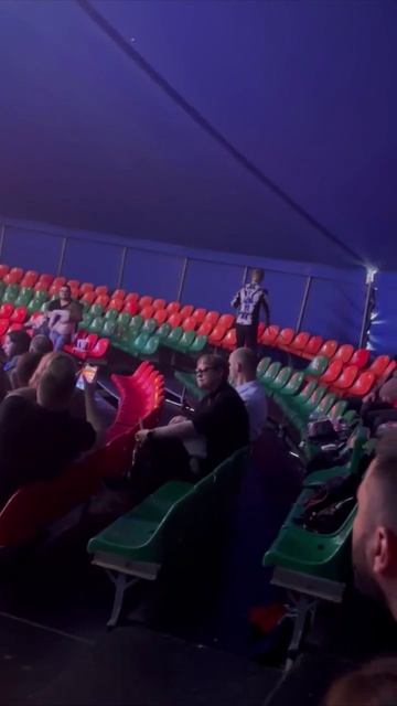 Тигр выпрыгнул в зрительный зал во время выступления (2)