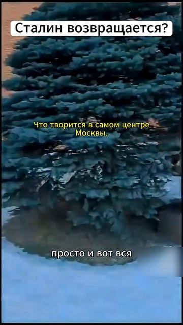 📹 Посмотрите на могилу Сталина сегодня: Вы не поверите своим глазам! → 👤 #Хроники_Ностальгии