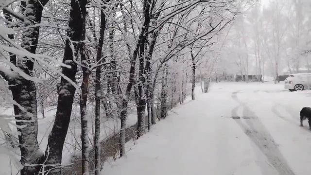 Снег в апреле в Свободненском районе
