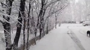 Снег в апреле в Свободненском районе