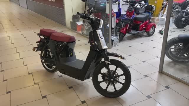 Электроскутер Eco Koleso Dachnik 3 1500W 60V30Ah🏁