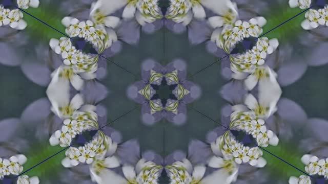 Футажи!!! Видеофоны!!! Футаж Сиреневая Феерия 1 от Киностудии Мудрого Кота Тимофея!!!