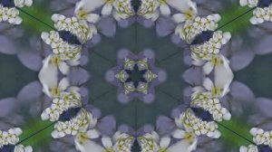 Футажи!!! Видеофоны!!! Футаж Сиреневая Феерия 1 от Киностудии Мудрого Кота Тимофея!!!