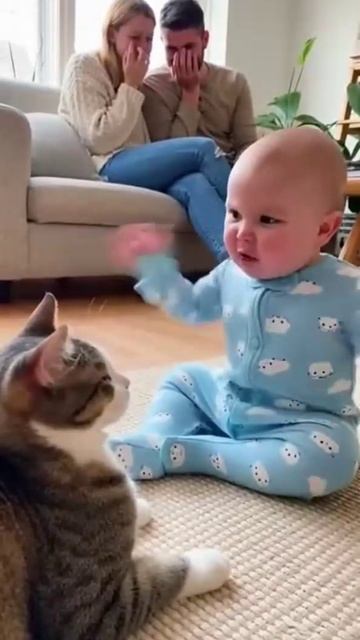 Воспитание Кота