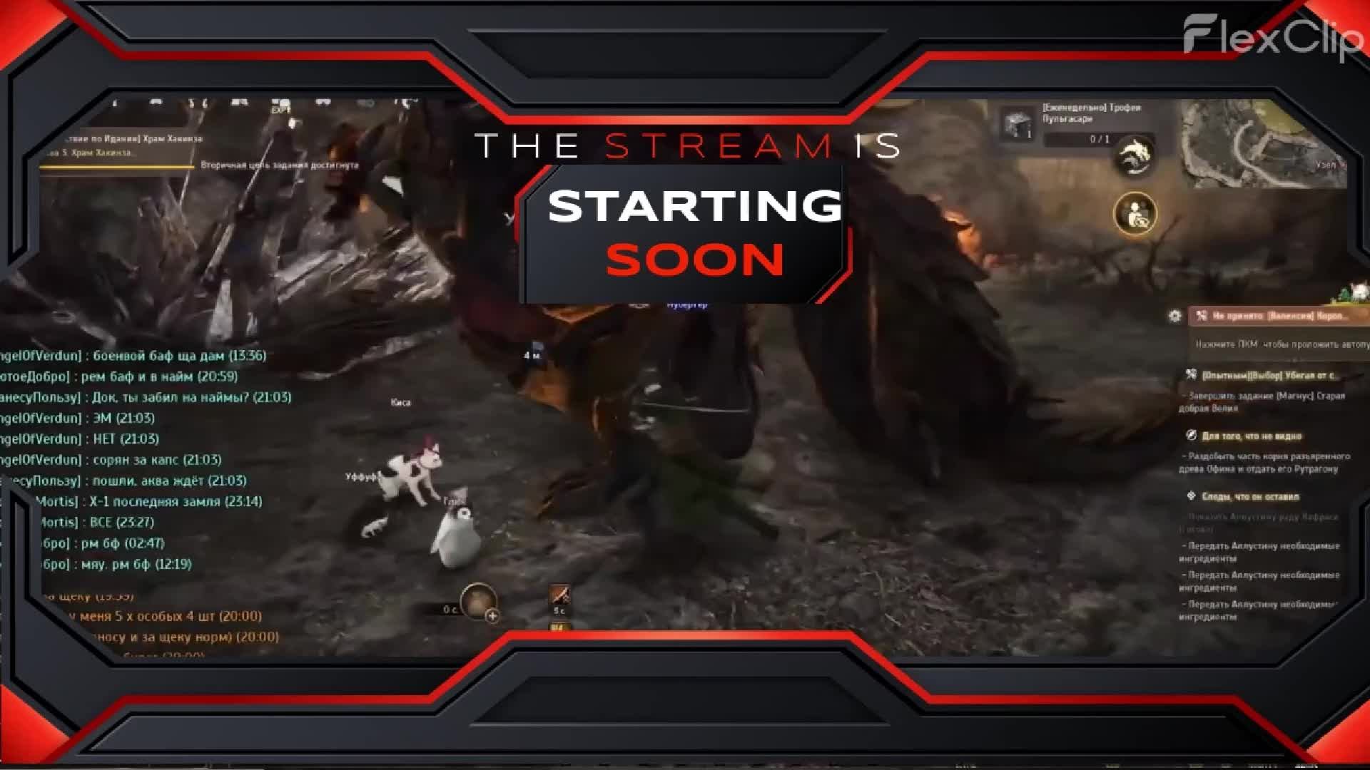 Battle Of Space Raiders онлаин космосимулятор  стримы с рекомендациями по тренировкам и питанию