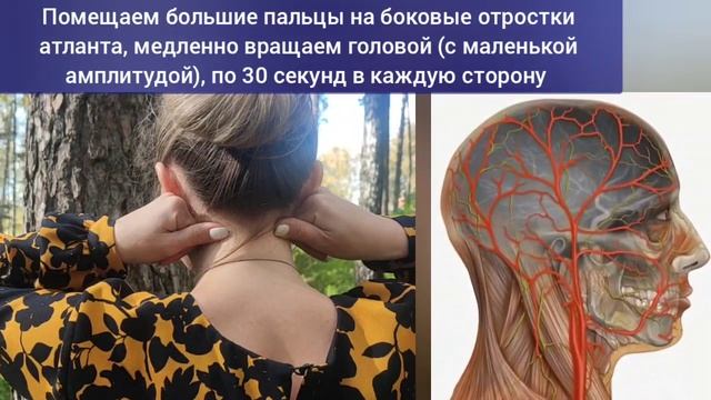 Шея, атлант, таз, бедра. Как освободить атланто-затылочный и тазобедренные суставы? Упражнения