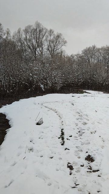 В окружении воды(разлив) и снега.20 апреля 2026г.