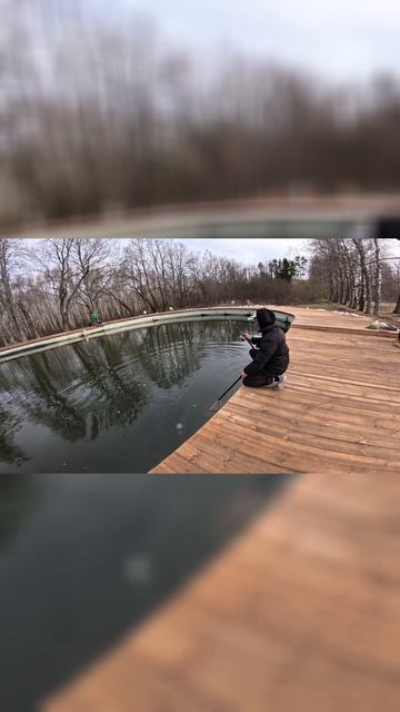 Ловим ФОРЕЛЬ в кутузово! #рыбалка #форель #рыба #отдых #fishing