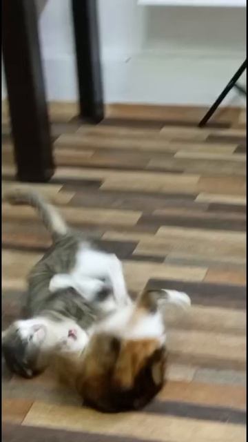 Легендарные битвы должны сохраниться на века⚔️