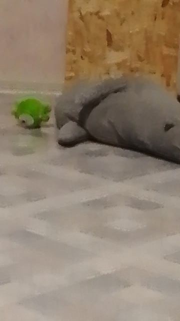 не бухайте(серый)