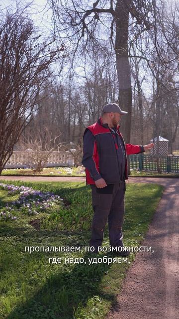 А может, каре? ✔️