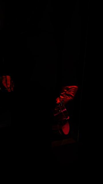 ‼️ОХОТА НА КРОЛИКА ОБЪЯВЛЯЕТСЯ ОТКРЫТОЙ‼️