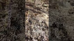 интересно видео