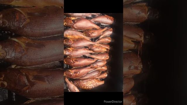 Первое путешествие. Иван озеро