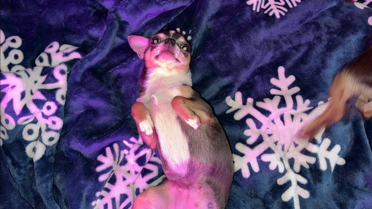 Доброго всем утречка и приятного начала дня!