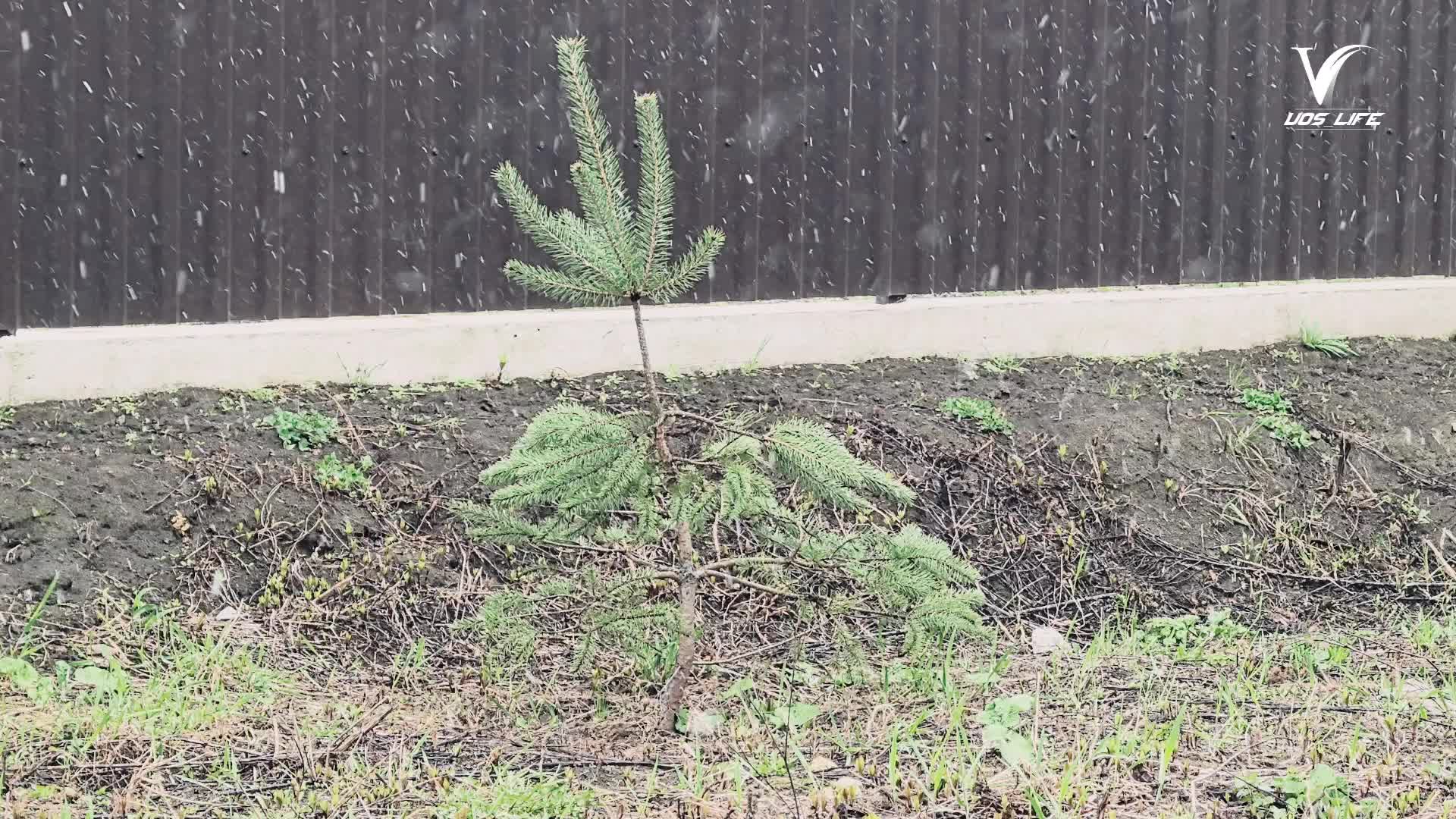 В Воскресенске выпал снег